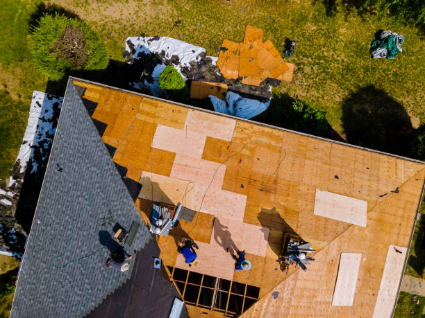 Best Metal Roofing Contractor  in Delta Junction, AK