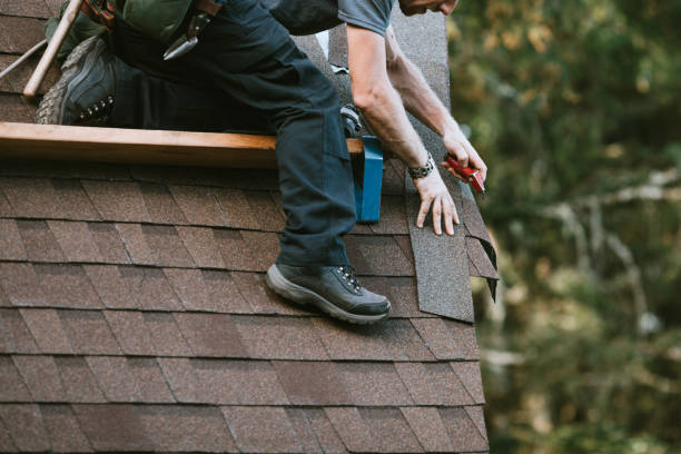 Best Sealant for Roof  in Delta Junction, AK